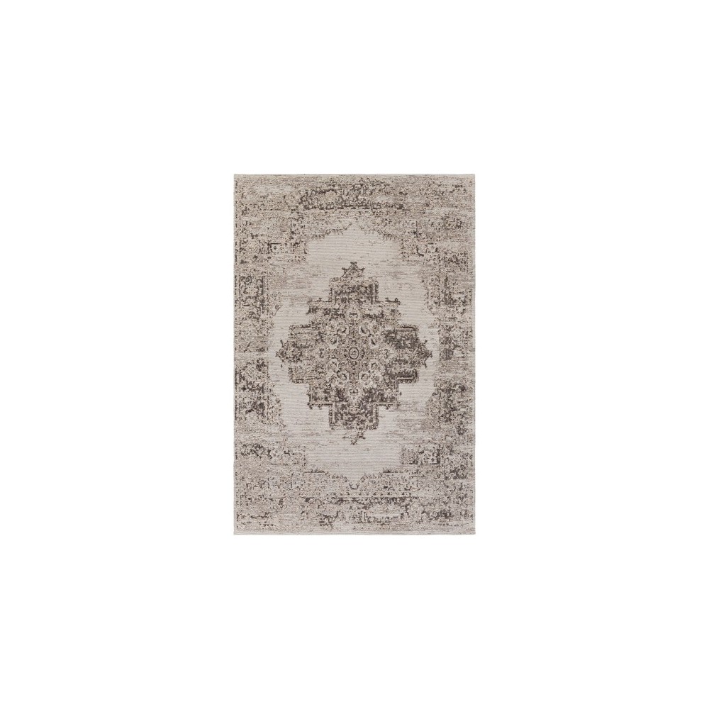 Surya Amsterdam AMS-1023 2' x 3' Rug