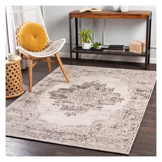 Surya Amsterdam AMS-1023 2' x 3' Rug