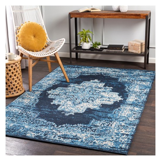 Surya Amsterdam AMS-1024 5' x 7'6" Rug