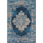 Surya Amsterdam AMS-1025 2' x 3' Rug