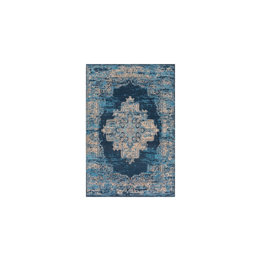 Surya Amsterdam AMS-1025 2' x 3' Rug