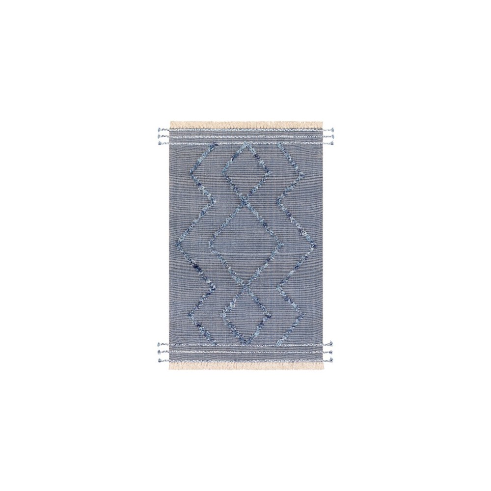 Surya Palo Alto PLA-2300 2' x 3' Rug