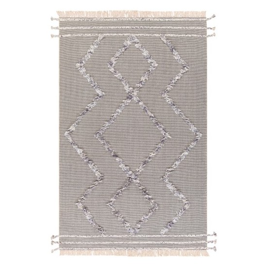 Surya Palo Alto PLA-2303 2' x 3' Rug