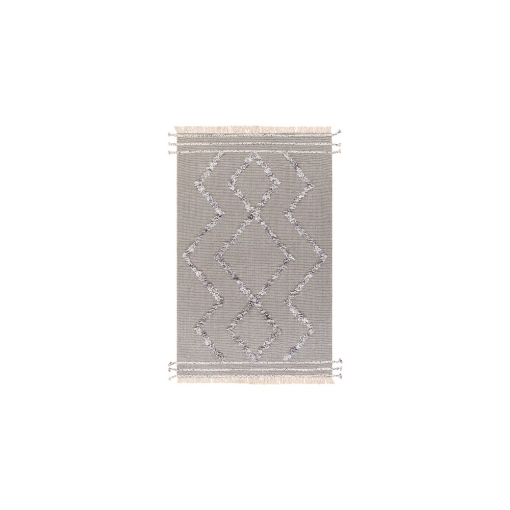 Surya Palo Alto PLA-2303 2' x 3' Rug Surya Palo Alto PLA-2303 2' x 3' Rug