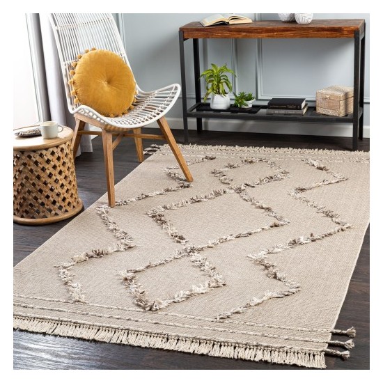 Surya Palo Alto PLA-2304 2' x 3' Rug