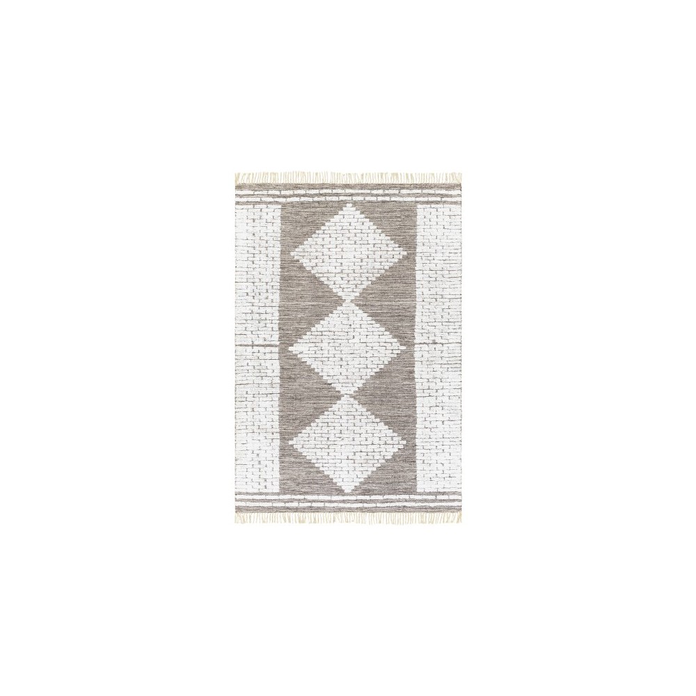 Surya Salinas SLS-2302 2' x 3' Rug