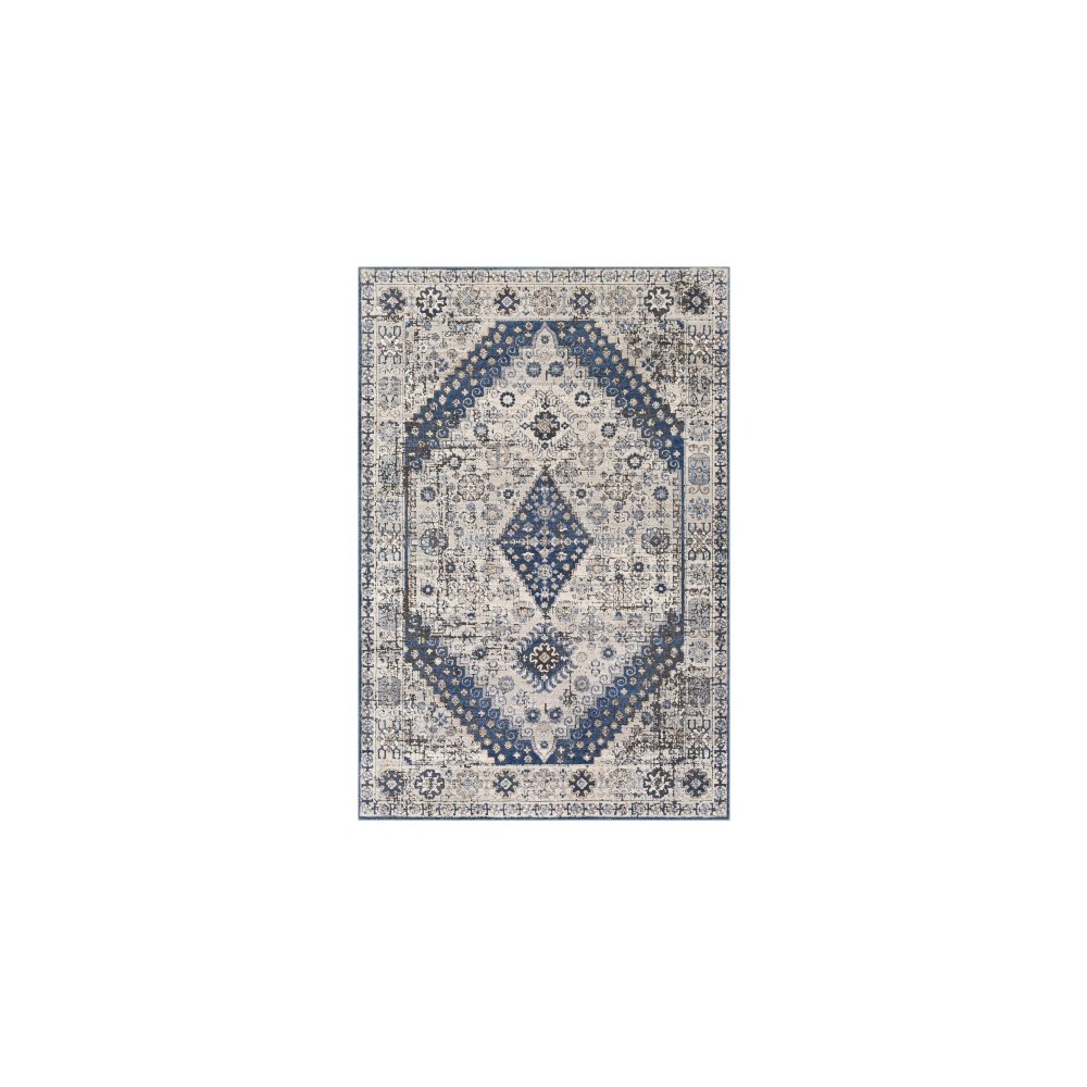 Surya Porto POO-2300 2' x 2'11" Rug Surya Porto POO-2300 2' x 2'11" Rug