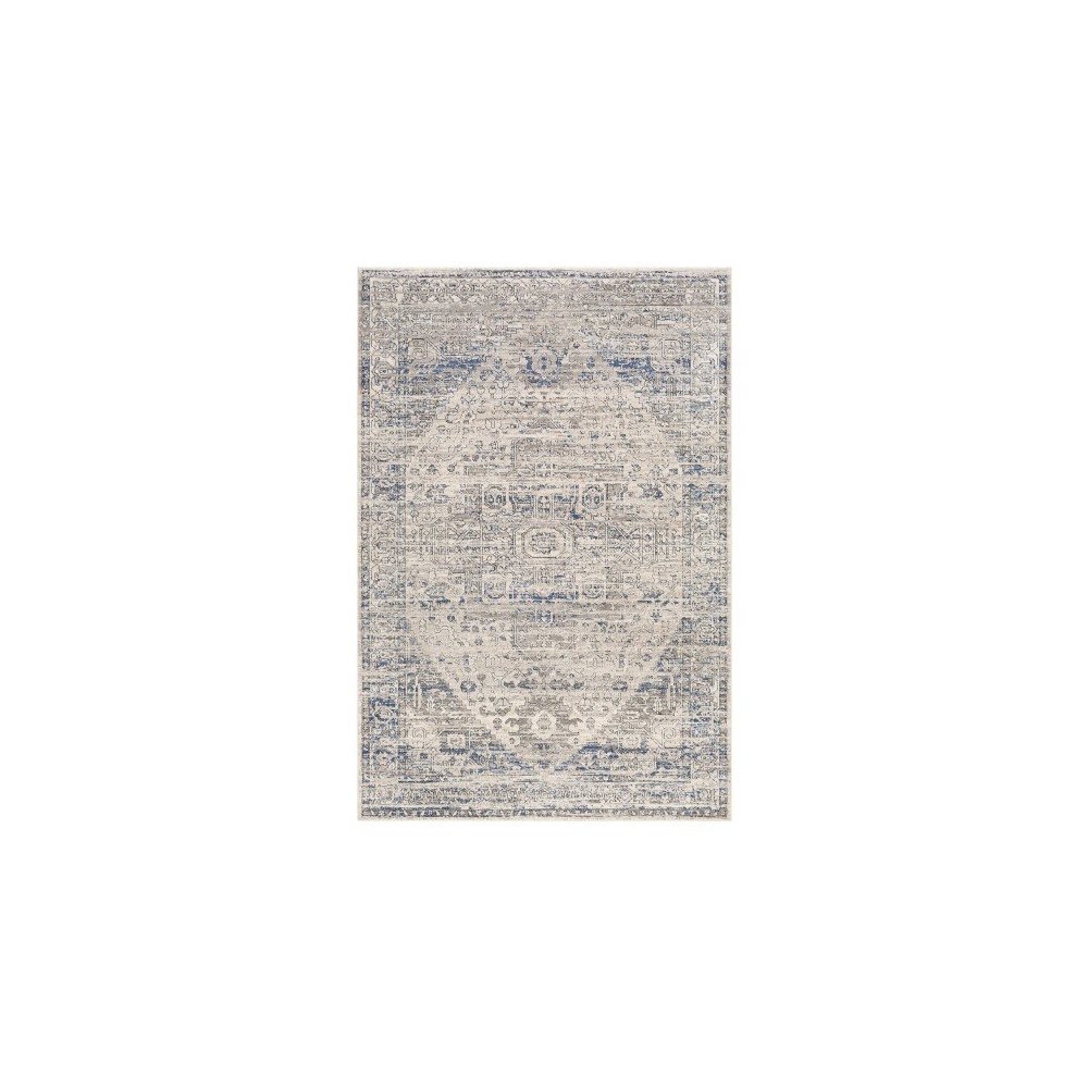 Surya Porto POO-2301 2' x 2'11" Rug