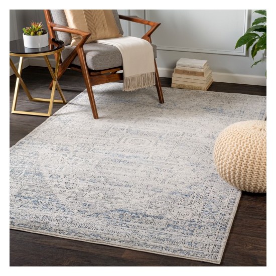 Surya Porto POO-2301 2' x 2'11" Rug