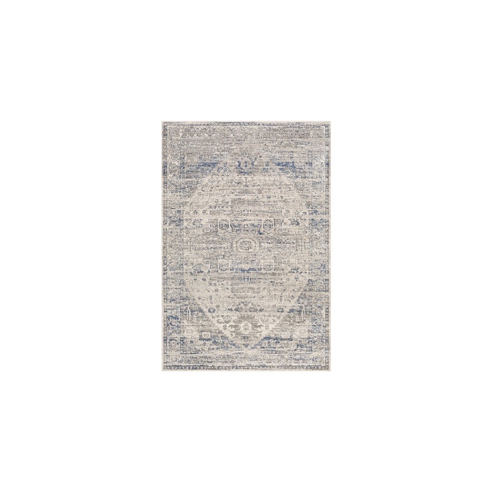 Surya Porto POO-2301 7'10" x 10'2" Rug Surya Porto POO-2301 7'10" x 10'2" Rug