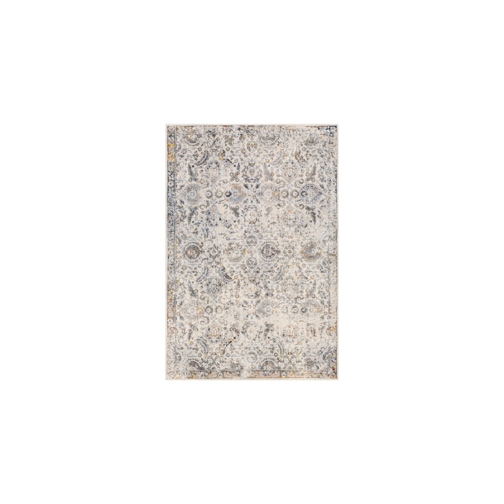 Surya Porto POO-2303 7'10" x 10'2" Rug