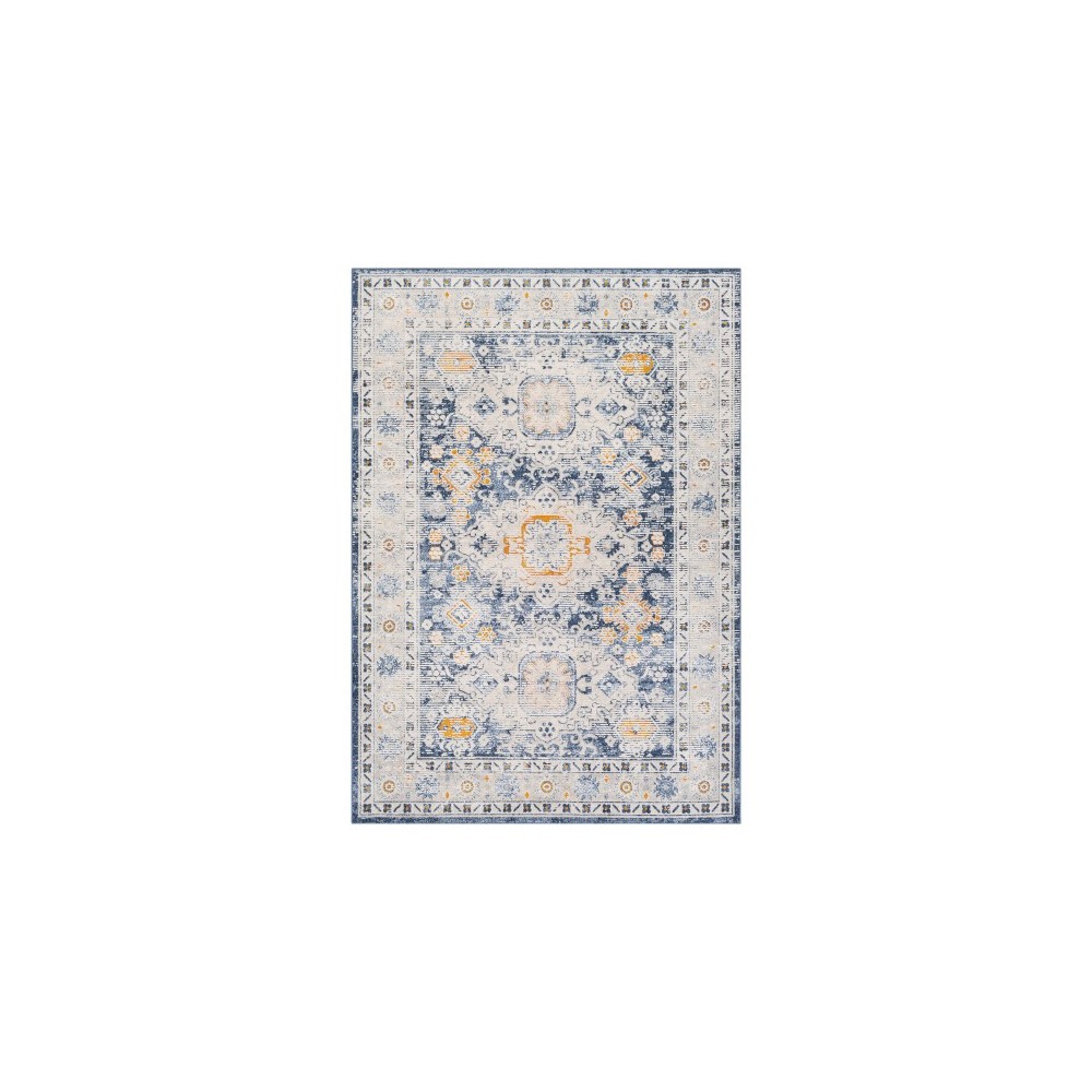 Surya Porto POO-2306 6'7" x 9' Rug