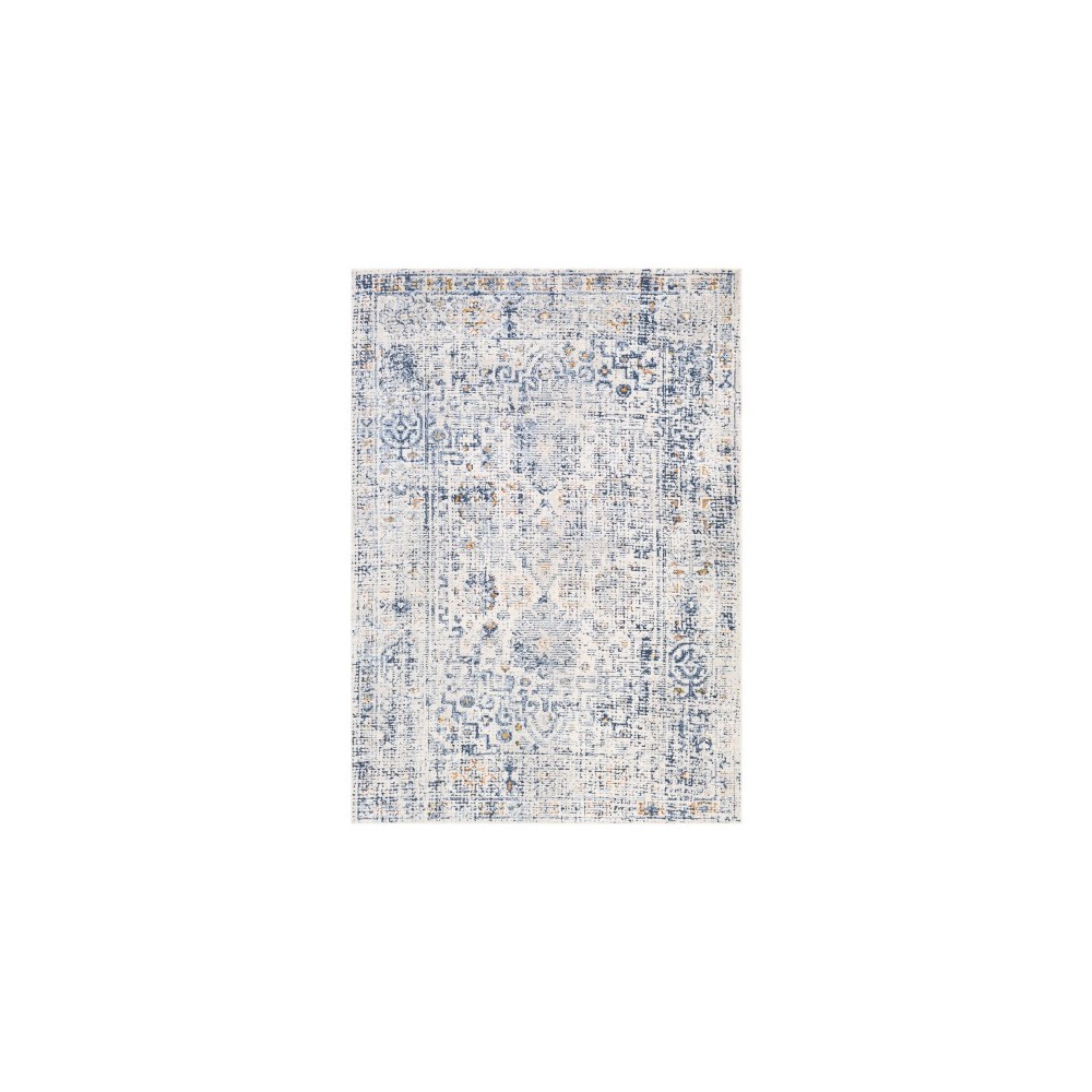 Surya Porto POO-2321 2' x 2'11" Rug