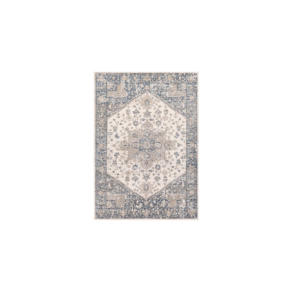 Surya Seattle STA-2301 5'3" x 7'3" Rug