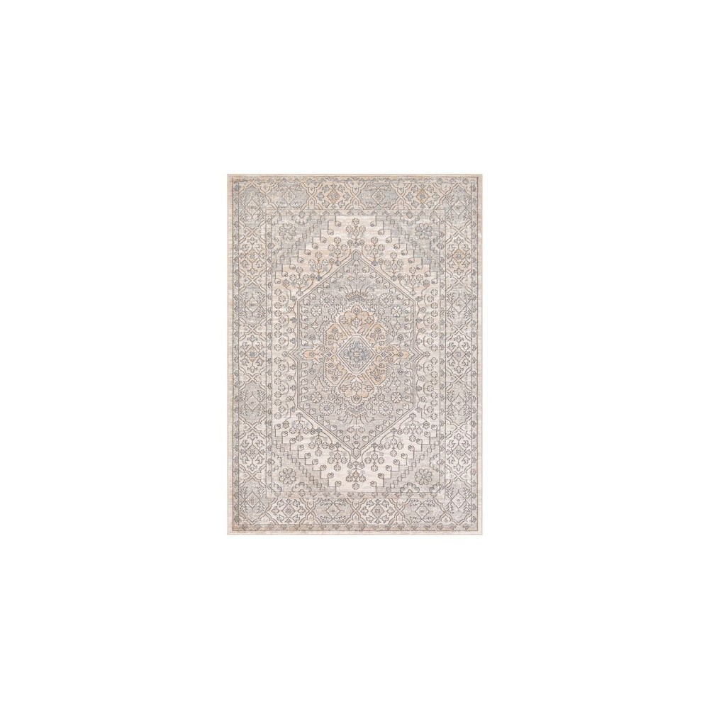 Surya Seattle STA-2303 6'7" x 9' Rug