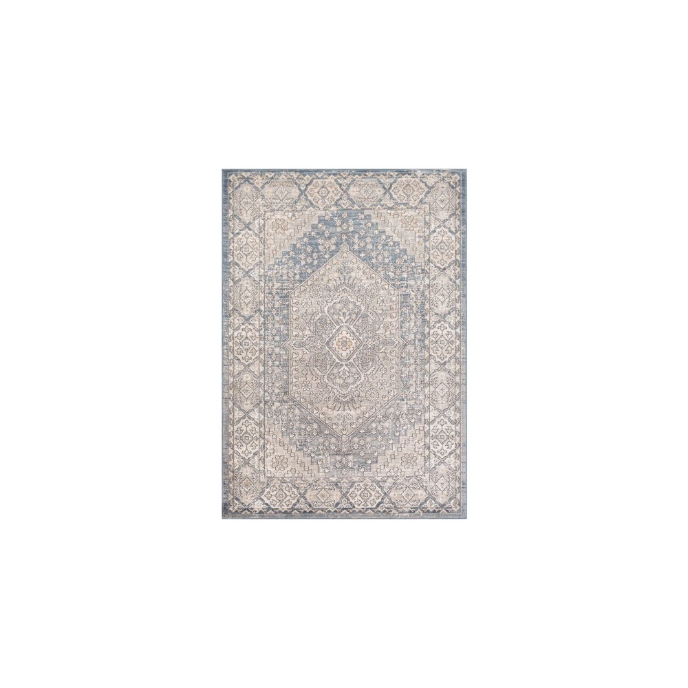 Surya Seattle STA-2304 5'3" x 7'3" Rug