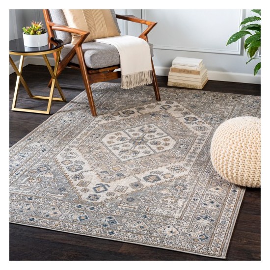 Surya Seattle STA-2309 5'3" x 7'3" Rug