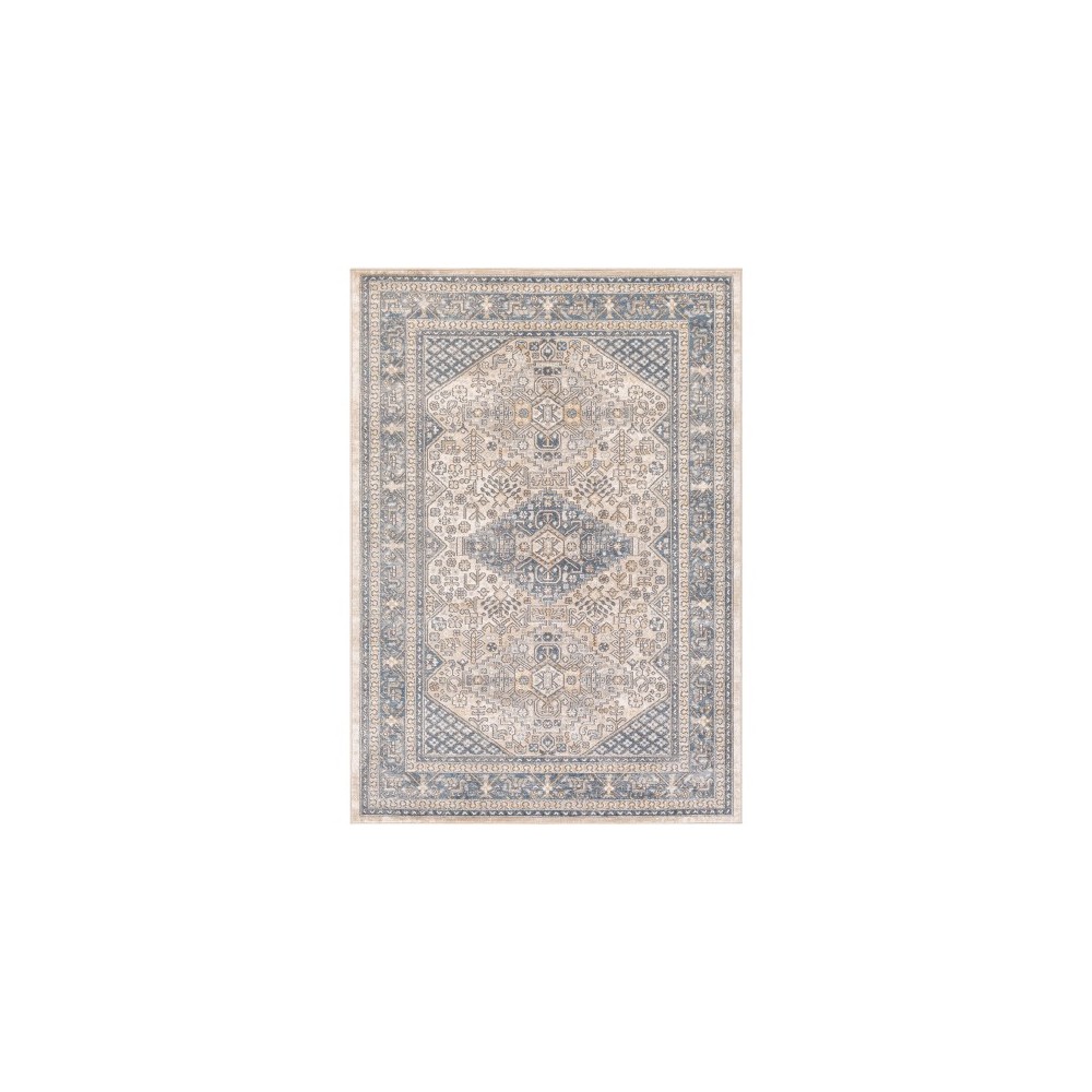 Surya Seattle STA-2312 5'3" x 7'3" Rug