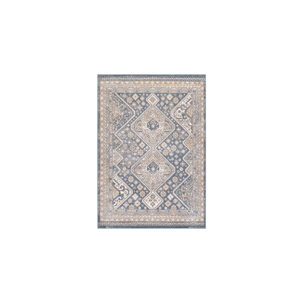 Surya Seattle STA-2314 7'10" x 10'2" Rug