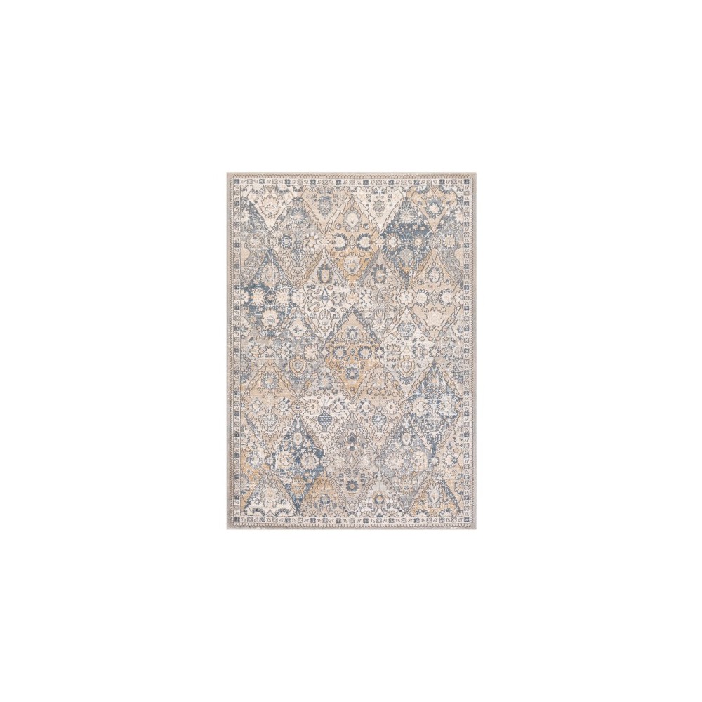 Surya Seattle STA-2315 7'10" x 10'2" Rug