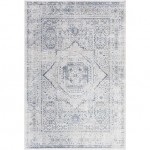 Surya Aisha AIS-2318 2' x 3' Rug