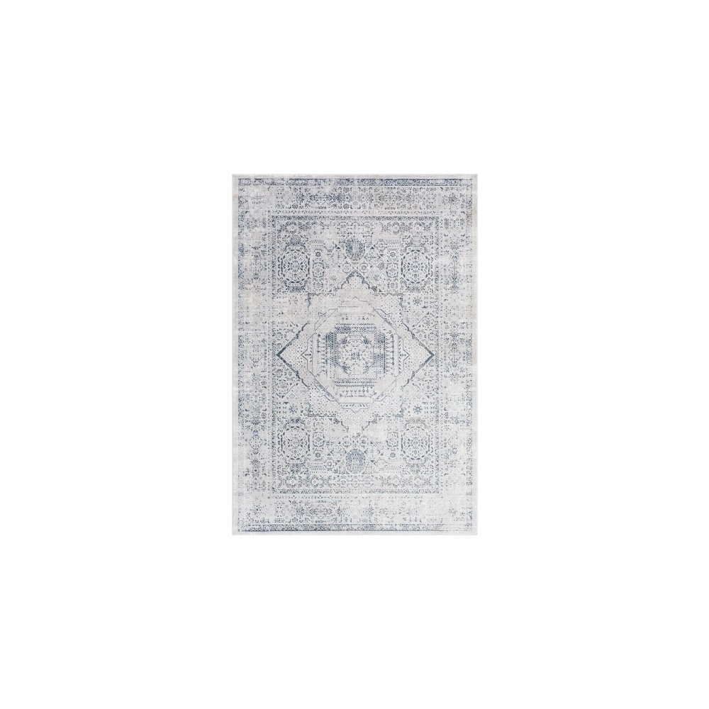 Surya Aisha AIS-2318 2' x 3' Rug Surya Aisha AIS-2318 2' x 3' Rug