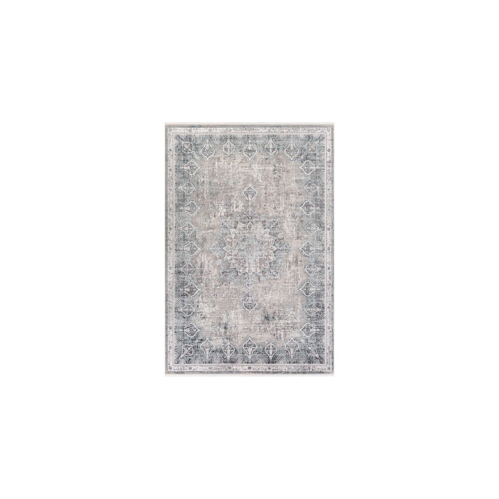 Surya Solar SOR-2315 3' x 5' Rug Surya Solar SOR-2315 3' x 5' Rug
