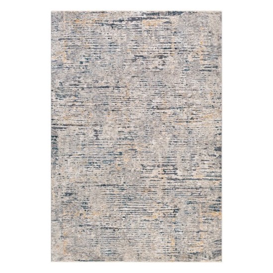 Surya Cardiff CDF-2301 10' x 14' Rug