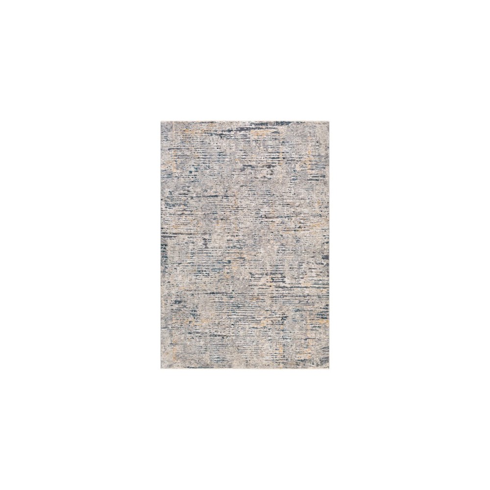 Surya Cardiff CDF-2301 2'7" x 4' Rug