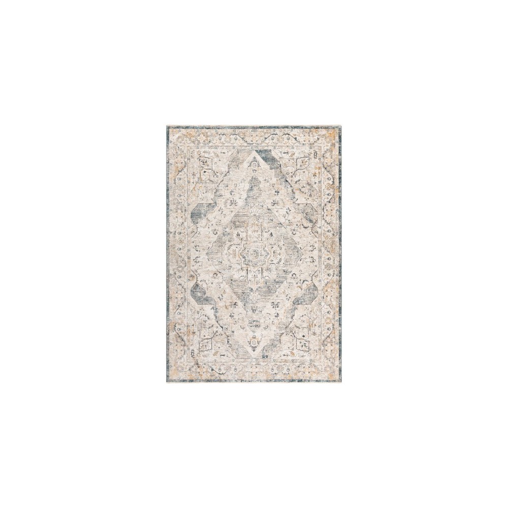 Surya Cardiff CDF-2303 2' x 3' Rug Surya Cardiff CDF-2303 2' x 3' Rug