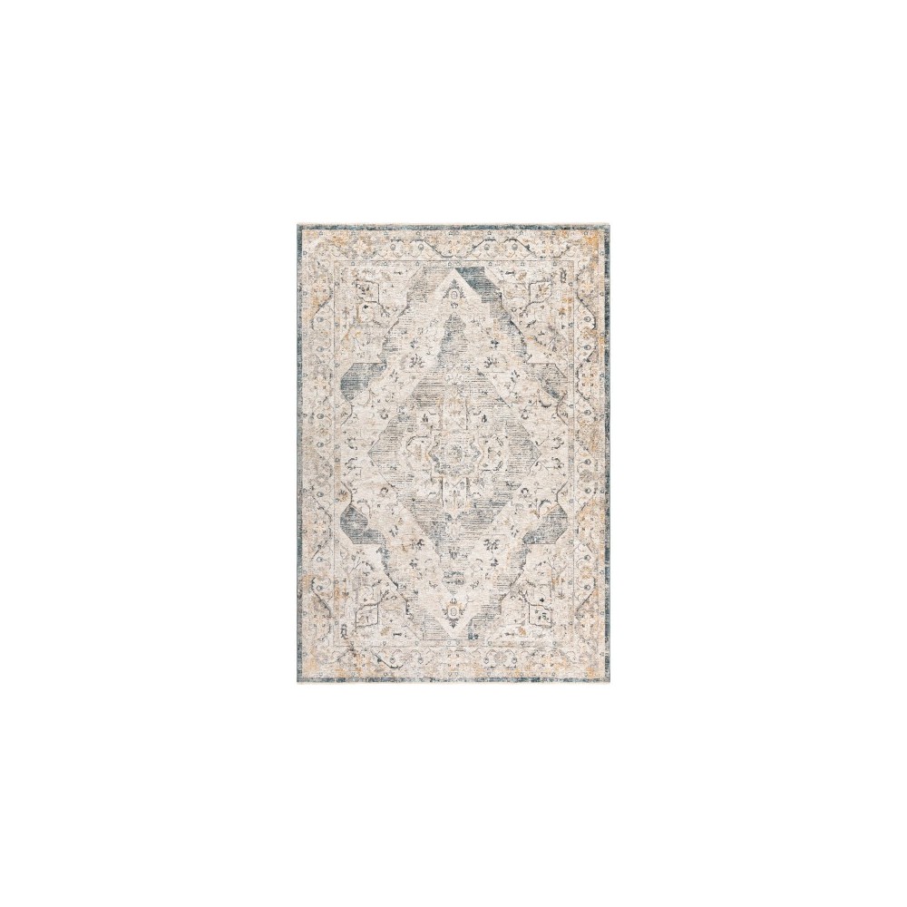 Surya Cardiff CDF-2303 2'7" x 4' Rug