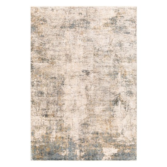 Surya Cardiff CDF-2304 10' x 14' Rug