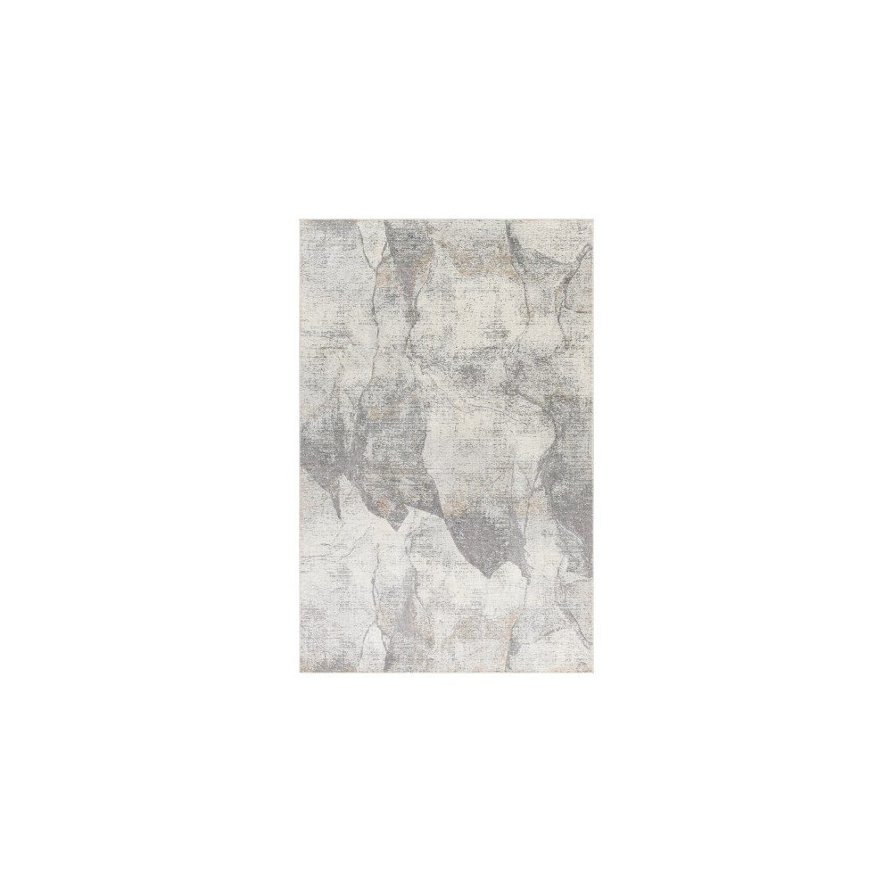 Surya Norland NLD-2310 2'7" x 4' Rug Surya Norland NLD-2310 2'7" x 4' Rug