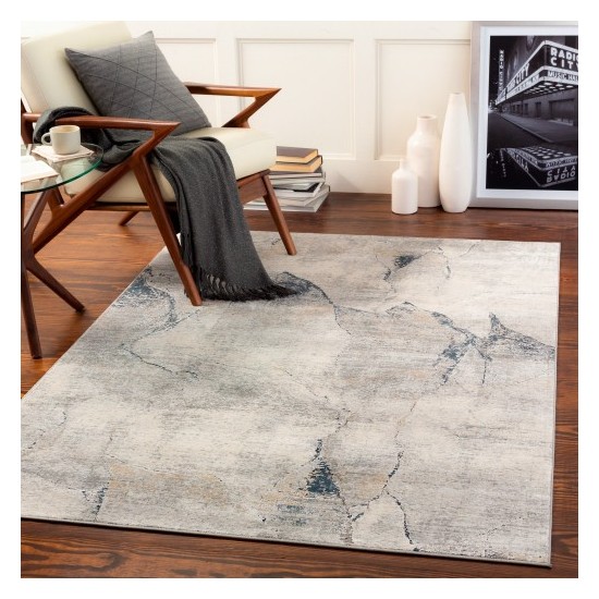 Surya Norland NLD-2311 10' x 14' Rug