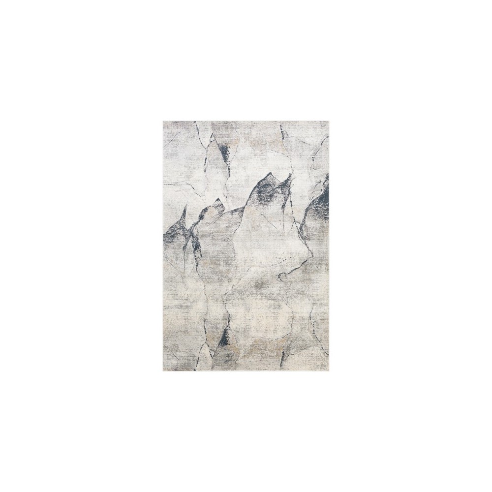 Surya Norland NLD-2311 2'7" x 4' Rug Surya Norland NLD-2311 2'7" x 4' Rug
