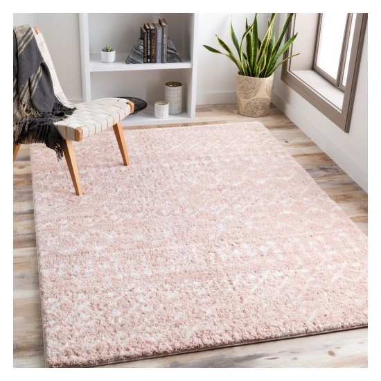 Surya Aliyah shag ALH-2300 2' x 3' Rug