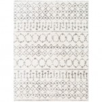 Surya Aliyah shag ALH-2302 2' x 3' Rug