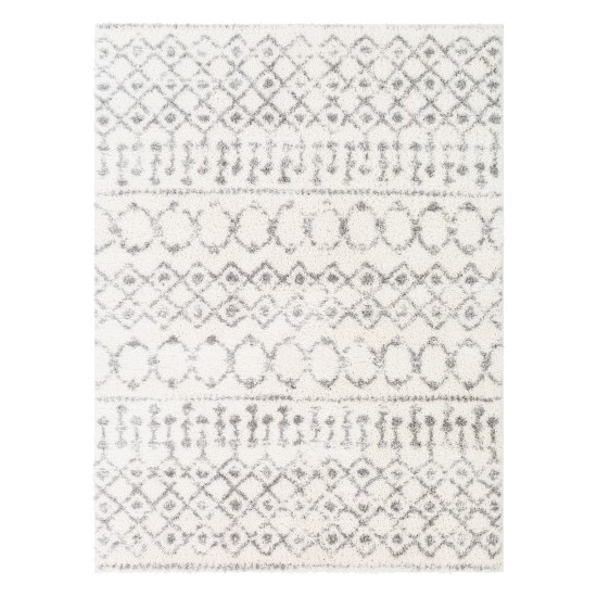 Surya Aliyah shag ALH-2302 2' x 3' Rug