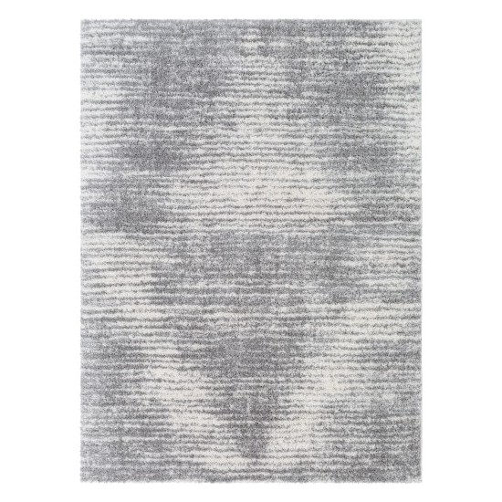 Surya Aliyah shag ALH-2318 2' x 3' Rug