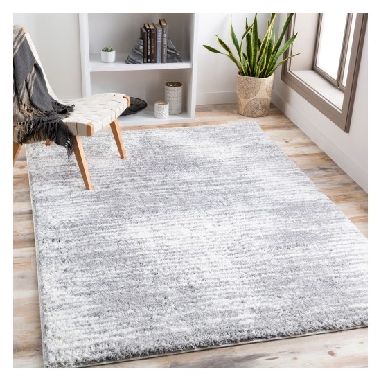 Surya Aliyah shag ALH-2318 2' x 3' Rug