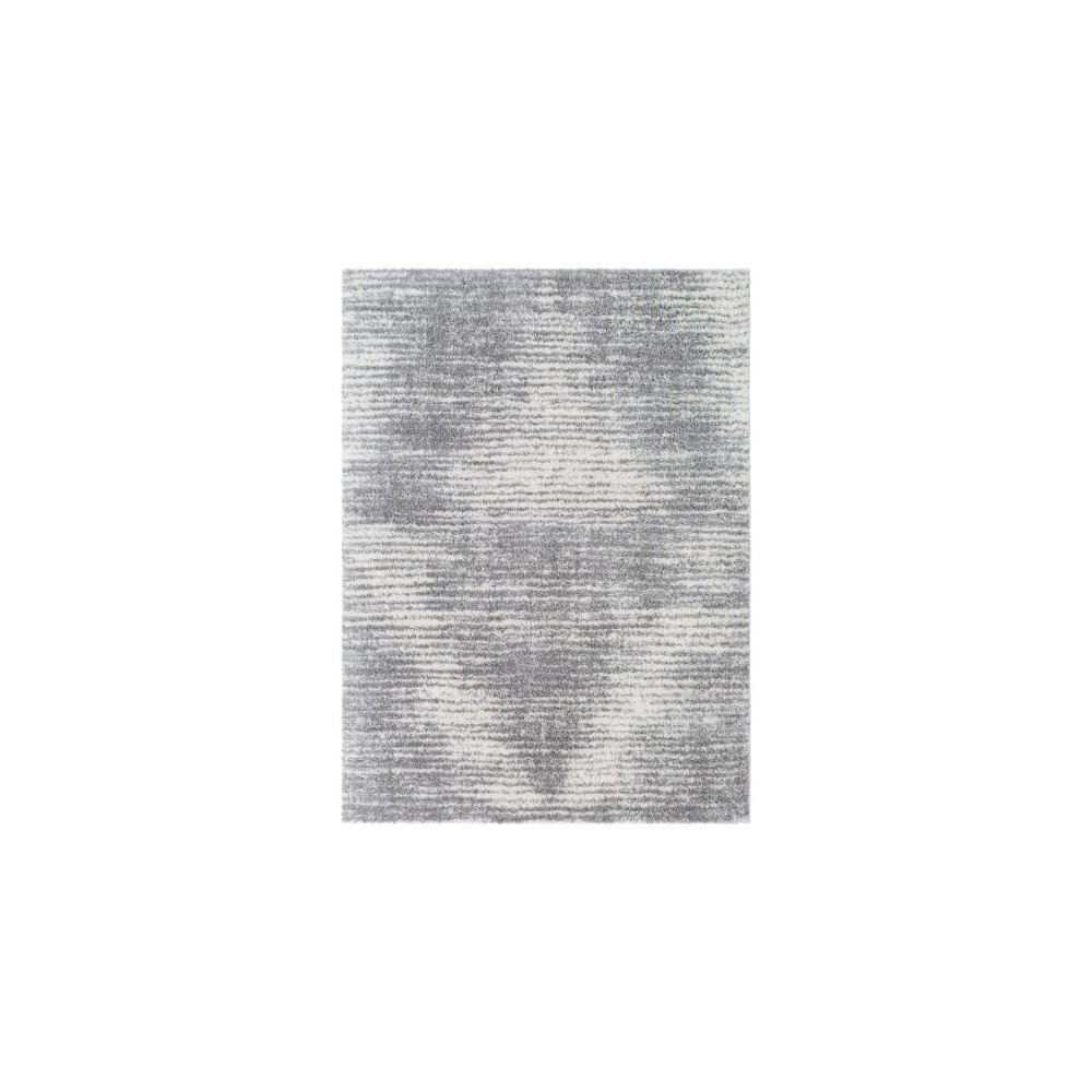 Surya Aliyah shag ALH-2318 5'3" x 7'3" Rug Surya Aliyah shag ALH-2318 5'3" x 7'3" Rug