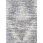 Surya Aliyah shag ALH-2318 7'10" x 10' Rug