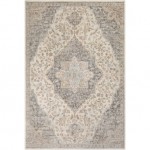 Surya Dryden DDN-2300 2' x 3' Rug