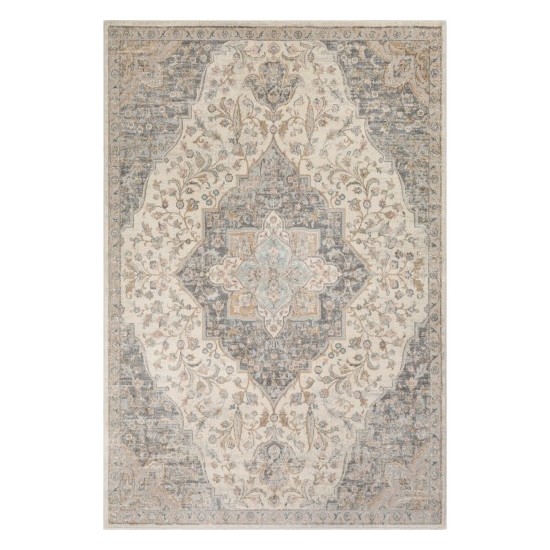 Surya Dryden DDN-2300 2' x 3' Rug