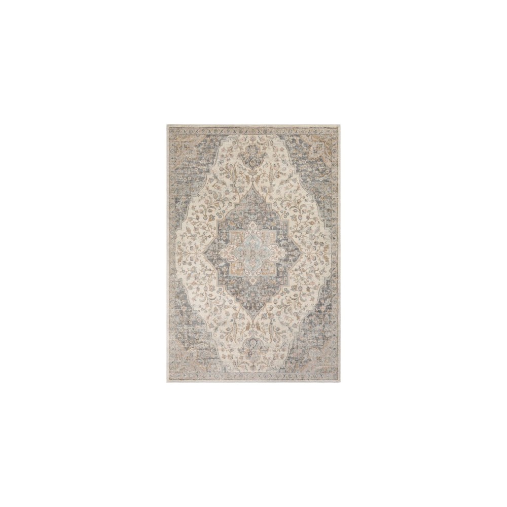 Surya Dryden DDN-2300 2' x 3' Rug