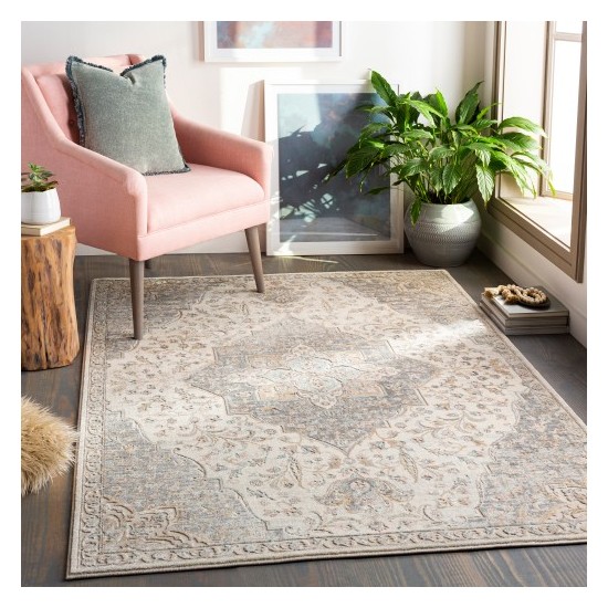 Surya Dryden DDN-2300 2' x 3' Rug