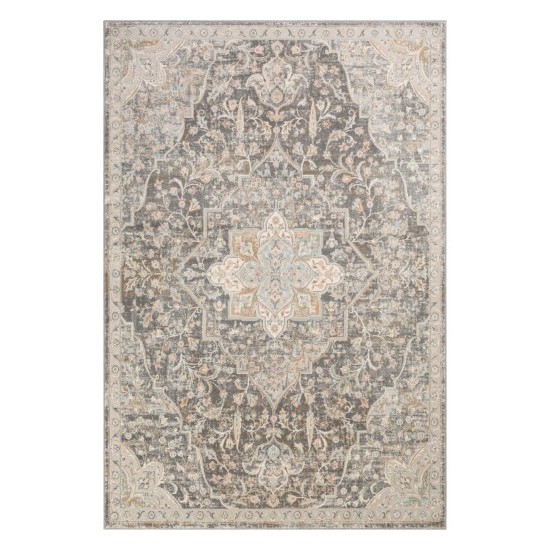 Surya Dryden DDN-2301 2' x 3' Rug