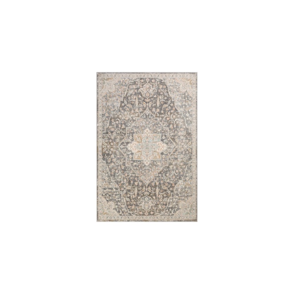 Surya Dryden DDN-2301 2' x 3' Rug