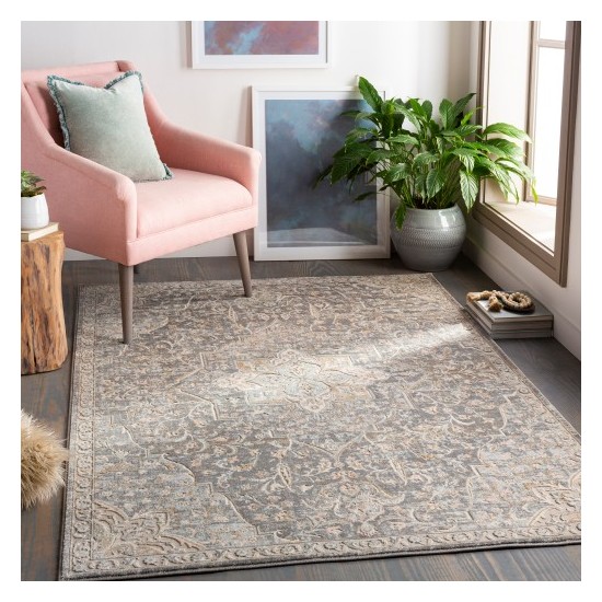 Surya Dryden DDN-2301 2' x 3' Rug