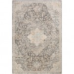 Surya Dryden DDN-2301 6'7" x 9'6" Rug